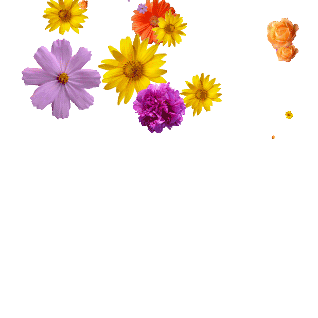 9e81e1a71f70faf78d97297e193f6ab1.jpg